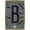 Gold Framed Version, variant on NBA Brooklyn Nets - Logo 25 Wall Poster with Push Pins, 22.375" x 34"