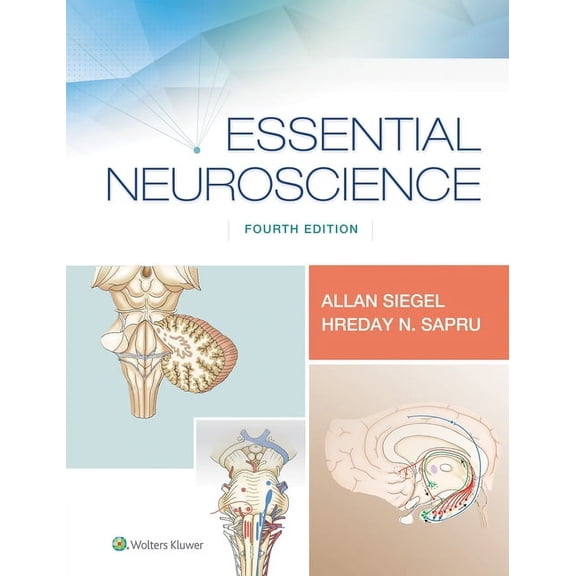Essential Neuroscience, (Paperback)