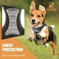 thumbnail image 3 of Auroth Dog Harness - Lite Series Step-in Dog Harness Cat Harness - Red, 3 of 9