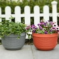 thumbnail image 3 of SPRING 2Pc Plastic Wall-Mounted Semicircular Flower Pot Wall-Mounted Resin Flower Pot, 3 of 9