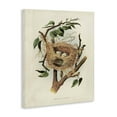 thumbnail image 3 of Stupell Industries Cottage Eggs in Birdnest Study Canvas Art, 16 x 20, by Tina Higgins Designs Inc., 3 of 8