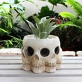 thumbnail image 2 of Macetero con forma de calavera de resina con múltiples caras, 429 g, 16 x 15,7 x 13 cm, 2 of 3