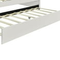 thumbnail image 5 of DreamBuck Full Size Upholstered Daybed with Trundle, Velvet Upholstered Daybed with Shell Shaped Backrest, Full Daybeds for Adults, Modern Daybed Frame for Bedroom, Living Room, Guest Room, White, 5 of 7