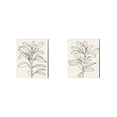 thumbnail image 1 of Great Art Now Olive Branch Contour by Emma Scarvey 2 Piece Canvas Art Set Each 12"W x 15"H, 1 of 3