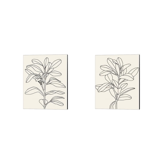 Great Art Now Olive Branch Contour by Emma Scarvey 2 Piece Canvas Art Set Each 12"W x 15"H
