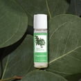 thumbnail image 5 of The Body Lab Fragrance Dose Fresh Eucalyptus 0.2 fl. oz., 5 of 9