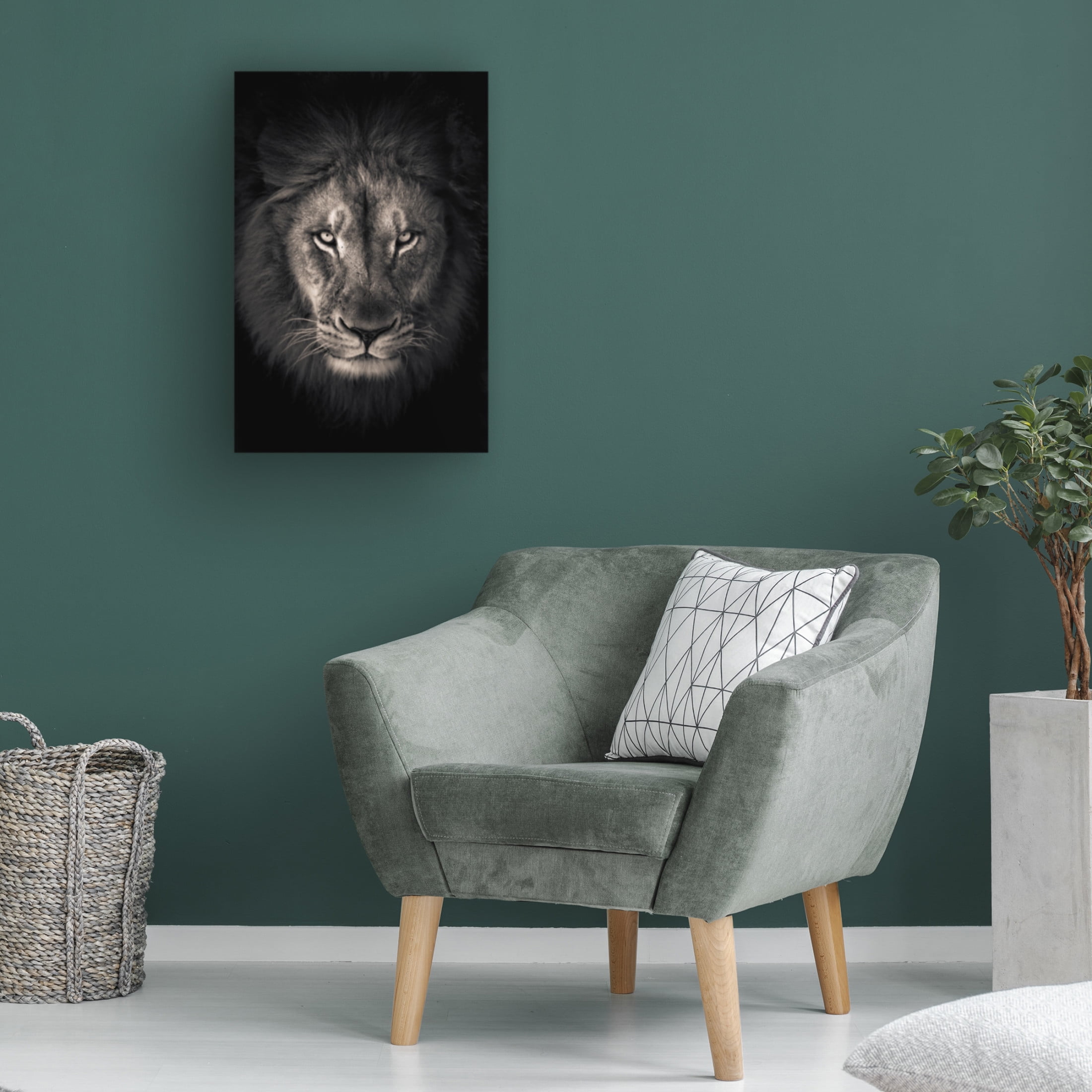Trademark Fine Art Alex Zhao  The king Canvas Wall Art