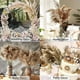 thumbnail image 4 of 30 Stems Dried Pampas Grass, Pampas Grass Fluffy Pampas Floral,17 Inch Bulk Pampas Grass Decor flow, 4 of 5