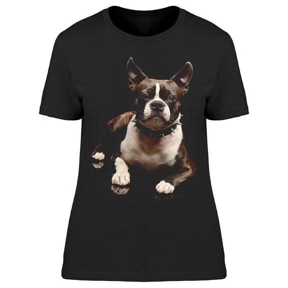 Amazing Terrier In Darkness T-Shirt Women -Image by Shutterstock, Female 3X-Large