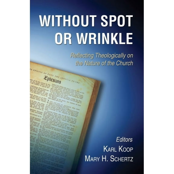 Without Spot or Wrinkle (Paperback)