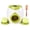 Green, variant on BESTSKY Dog Ball Thrower Launcher,Interactive Fun Ball Thrower for Dogs,Mental Stimulation Dog Ball Thrower,Gray