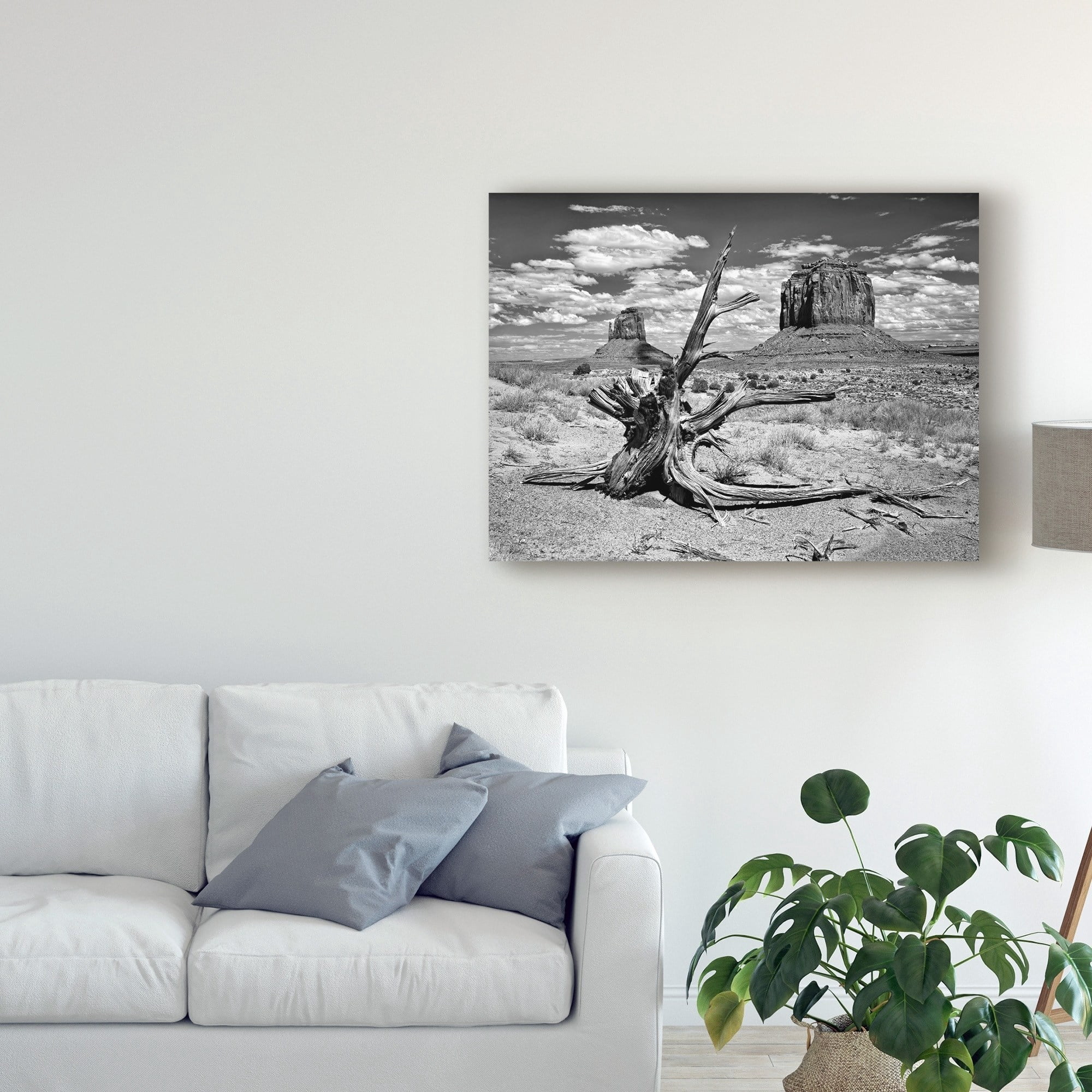 Trademark Fine Art 'Black And White Desert View V' Canvas Art by David Drost