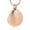 Rose, variant on Shell Pendent for Ashes and Chain Cremation Jewelry for Ashes Urn Necklace Lockets for Human Ashes Pet Ashes Holder