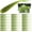 Green Flash, variant on Forked Tail Soft Baits 3in Fishing Lures for Crappie Panfish and Trout 40PCS (Green)