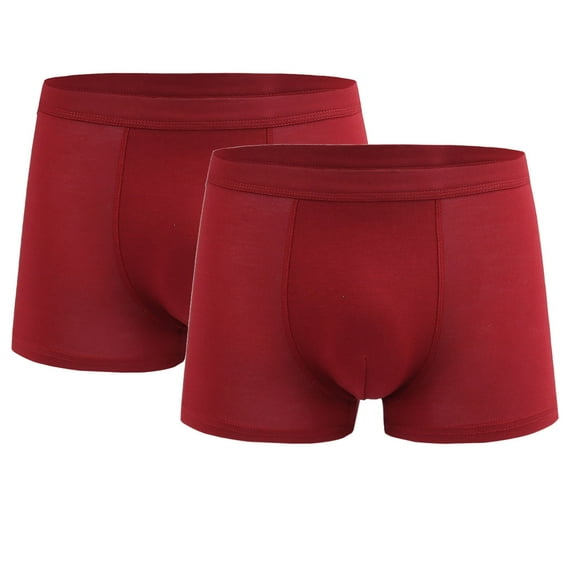 yillto 2 Pack Men Underwear Big and Tall Breathable Comfort Boxers Briefs Mens Soft Underpant