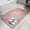 Pink, variant on Christmas Snowflakes Washable Area Rugs for Living Room Bedroom, Large Non Slip Indoor Floor Carpet Absorbent Low Pile Grey Winter Snow Vintage Country Door Mat Rugs for Bathroom Entryway 47.2"x63"