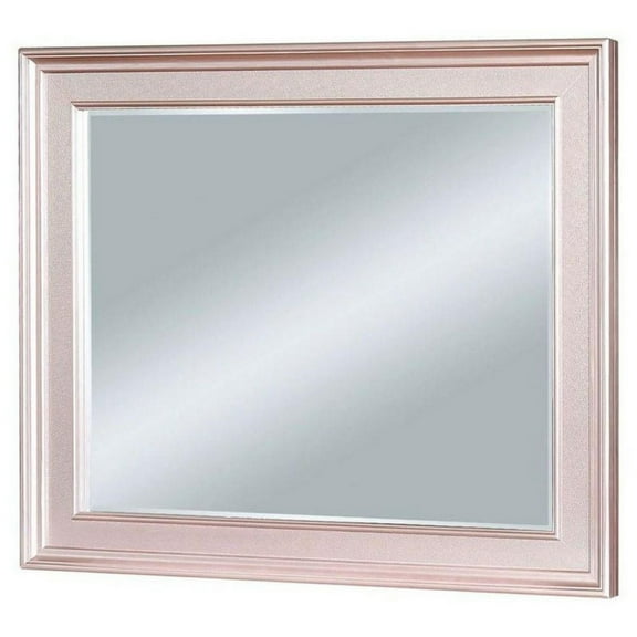 64 Inch Contemporary Style Wooden Frame Mirror Rose Pink - Saltoro Sherpi