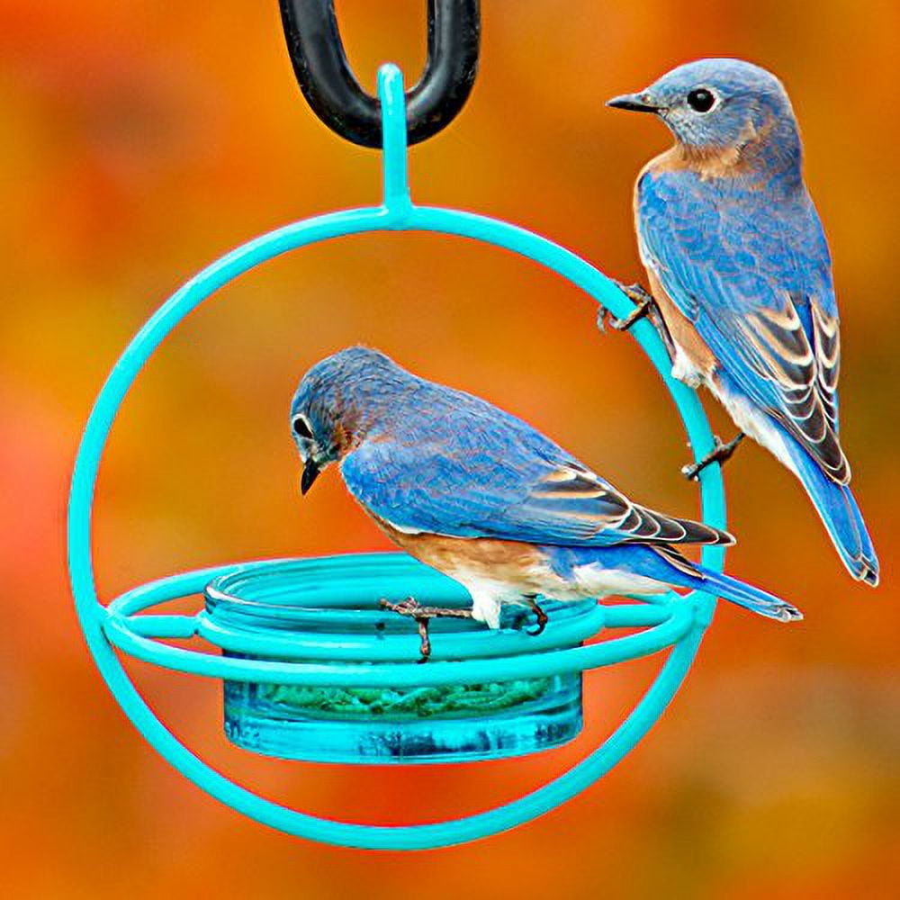 Mosaic Birds Hummble Bold Hanging Bird Feeder for Outdoors, Oriole, Finch Wild Bird Feeders - Aqua Blue