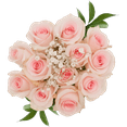 thumbnail image 2 of 3 Dozen Pink Roses with Baby's breath and Green- Fresh Flower Delivery, 2 of 4