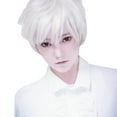 thumbnail image 2 of XIAQUJ Adult Men Guy Short Boy Band Wig, White, 2 of 8