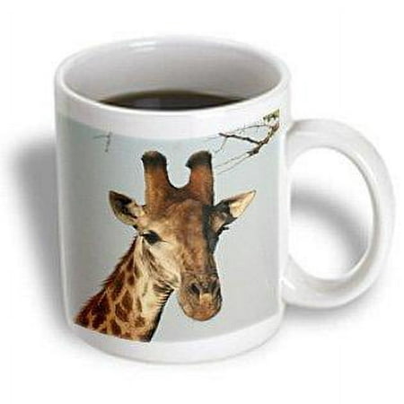 

South African Giraffe head face sky background 11oz Mug mug-20123-1