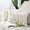 Cream White, variant on Pack of 2 Thick Plush Wool Throw Pillow Covers 18x18 Inch Beige Soft Decorative Cushion Cover for Sofa Bedroom Pillow Shell