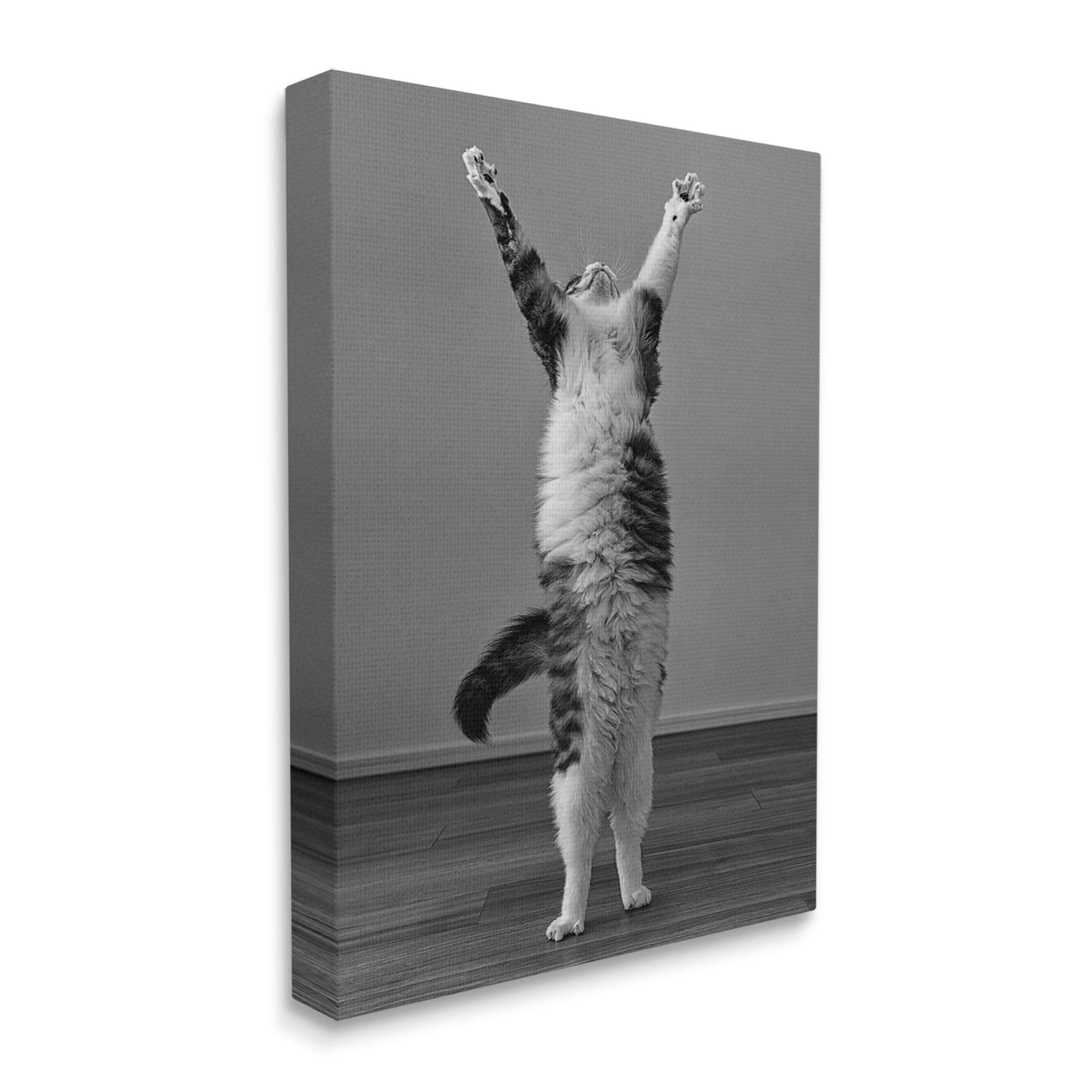 Stupell Industries Funny Cat Victory Pose Animals & Insects Photography Gallery Wrapped Canvas Art Print Wall Art, 36 x 48