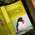 thumbnail image 4 of The New Stokes Field Guide to Birds: Eastern Region, (Paperback), 4 of 7