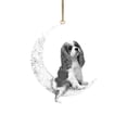 thumbnail image 1 of Arte del hierro Siéntese en la luna Adorno de luna de perro encantador para amantes de los perros Colgante de árbol de Navidad Wmkox8yii gf6348, 1 of 4