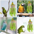 thumbnail image 4 of Miangastore Creative Hanging Parrot Biting Toy with Durable Synthetic Material Multi Color for Kids Fun, 4 of 8