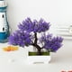 thumbnail image 3 of Inteprter Bonsai de simulación de pino plantas artificiales decoración hogar maceta plástico color Púrpura, 3 of 6
