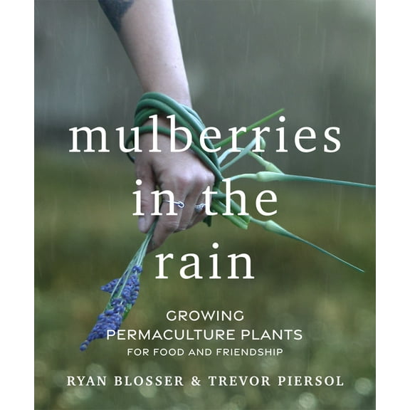 Mulberries in the Rain: Growing Permaculture Plants for Food and Friendship, (Paperback)