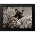 thumbnail image 2 of Fitzharris, Tim 24x19 Black Modern Framed Museum Art Print Titled - Black bear in underbrush Sepia, 2 of 5