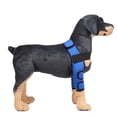 thumbnail image 2 of Tobillera de pierna delantera para perro, corvejón con correa de seguridad para lesiones, esguince Gloria  Soporte de la rodilla del perro, 2 of 8