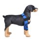 thumbnail image 2 of Tobillera de pierna delantera para perro, corvejón con correa de seguridad para lesiones, esguince Gloria  Soporte de la rodilla del perro, 2 of 8
