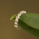 thumbnail image 3 of Anillo de apertura Bling Bling para mujer, vintage con margaritas, ajustable, 3 of 6