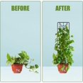 thumbnail image 3 of 2 enrejados para plantas trepadoras de 36 x 10 cm, soporte para plantas trepadoras con 20 lazos para plantas de interior para macetas de jardín, plantas trepadoras de flores de interior (negro), 3 of 5