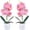 Pink, variant on 4Pcs Artificial Orchid Flowers Mini Potted Orchid Flowers Fake Orchids with Plastic Vase for Home Office Wedding Table Centerpiece Decoration(White,Yellow,Pink,Light Pink)