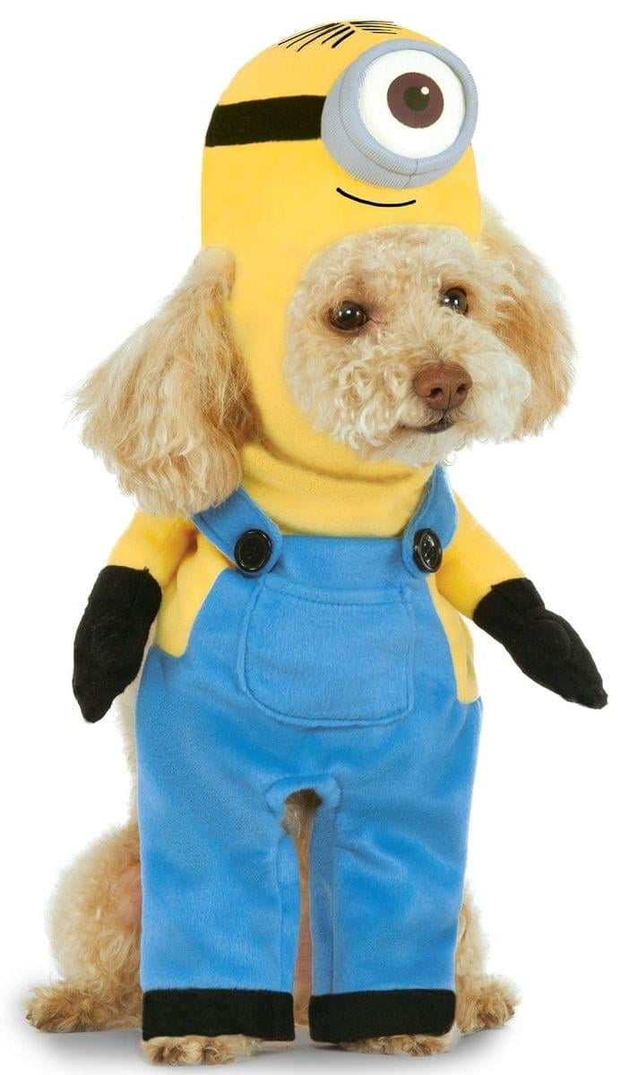 puppy pocket shirt