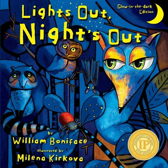 Lights Out, Night's Out : A Glow in the Dark Book (Paperback)