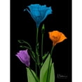 thumbnail image 3 of Koetsier, Albert 19x24 Black Modern Framed Museum Art Print Titled - Jewel Gentian Buddies 4, 3 of 5