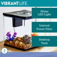 thumbnail image 4 of Vibrant Life Betta View Aquarium Starter Kit, 3 Gallon, 4 of 9