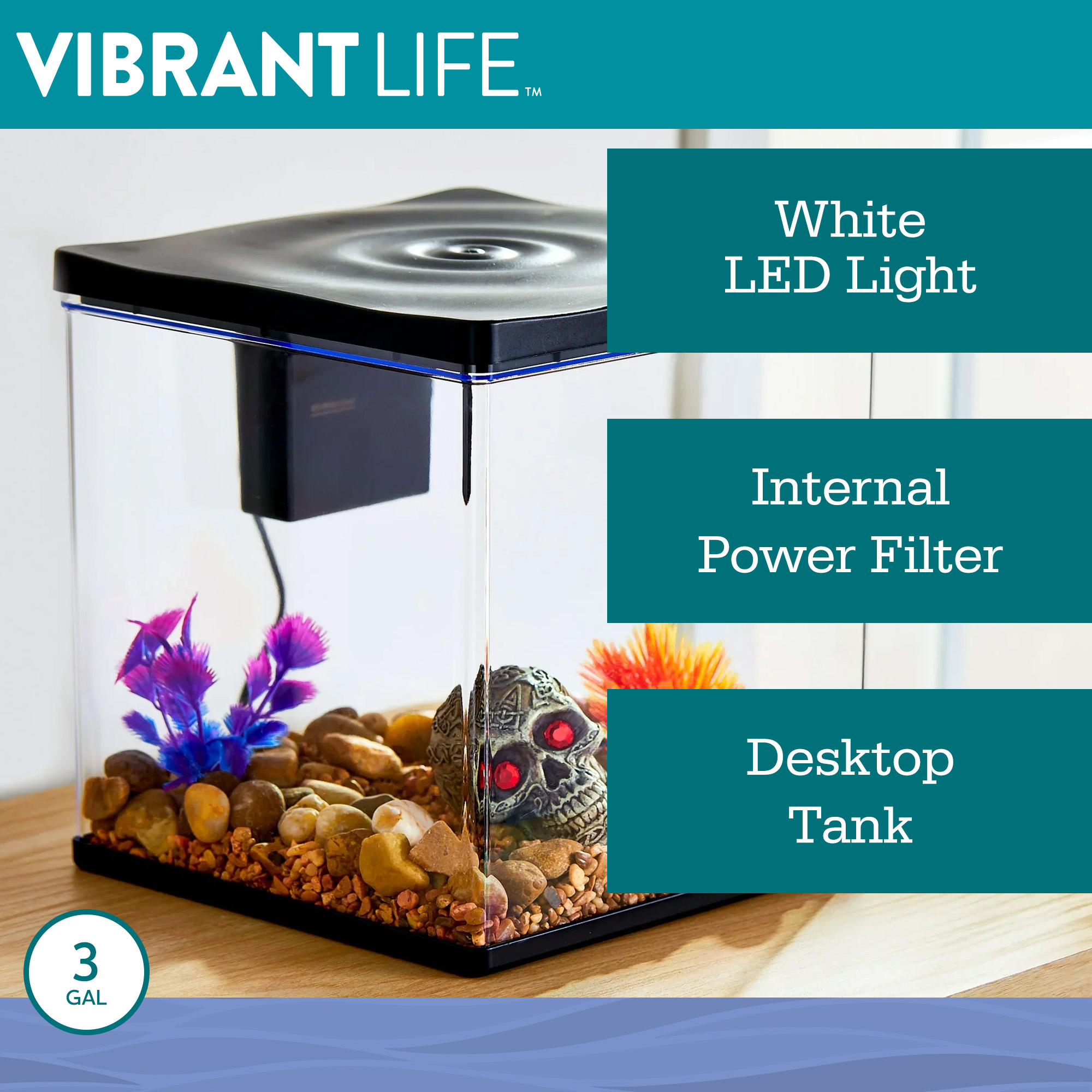 Vibrant Life 3 Gallon Betta View Aquarium Kit photo 4