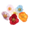 thumbnail image 4 of BRIGHTFUFU 6 pasadores de pelo con flores hawaianas, delicados y florales, para mujer, elegantes accesorios para bodas, fiestas y sesiones de fotos diarias., 4 of 7