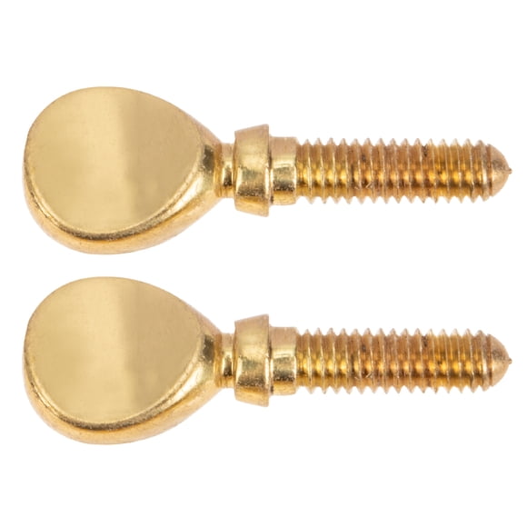 IFANLANDOR 2Set Practical Flute Parts Copper Screws Golden for Flute Accessories Use