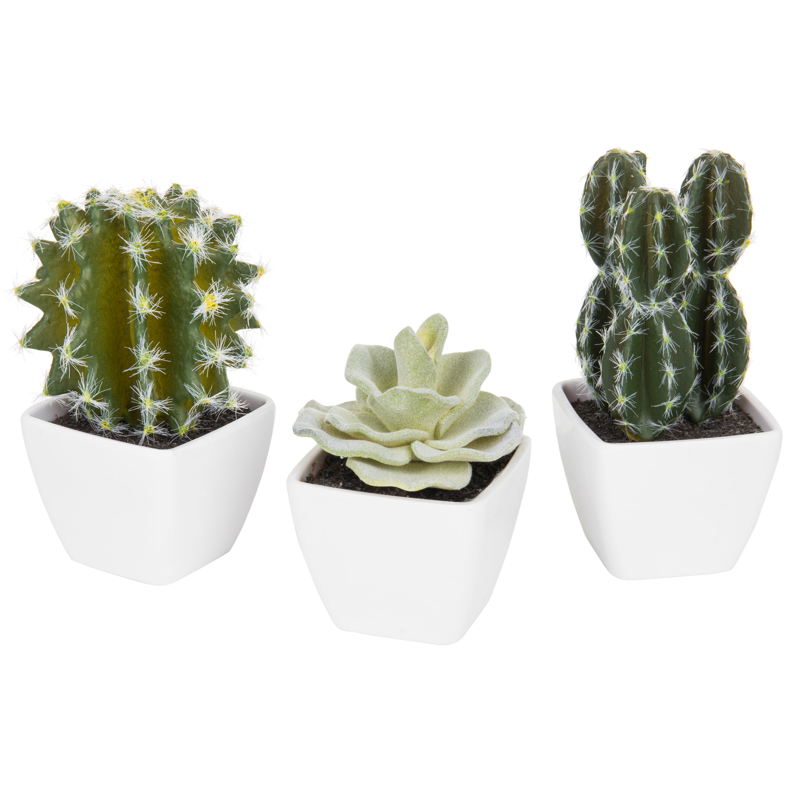Artificial Cactus Plants In White Mini Garden Pots Set Of 3
