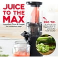 thumbnail image 5 of B&B Charcoal DASH Deluxe Compact 130 W Masticating Slow Juicer, Black, 5 of 11