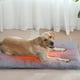 thumbnail image 5 of PRODUCTOS PARA MASCOTAS: Almohadilla autocalentable para cama, tapete térmico autocalentable para perros, almohadilla térmica para gatos, tapete calentador para gatos salvajes y de interior., 5 of 5