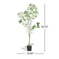 thumbnail image 3 of Noble House Hartshorn 5' x 2' Artificial Pieris Tree, Green, 3 of 7