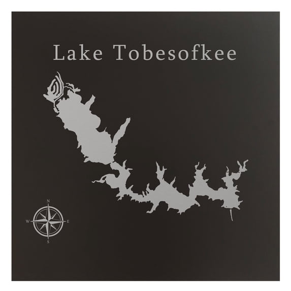 Lake Tobesofkee 24x24" Matte Black Metal Lake Map Wall Art Macon Georgia